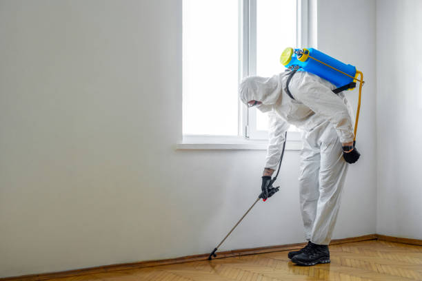 Emergency Pest Control Services in Fredonia, NY